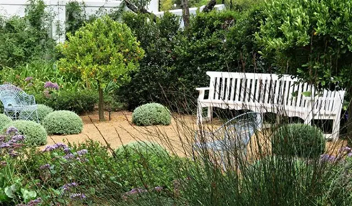 There is a white painted curved garden bench placed on a sandy ground, surrounded by green plants.