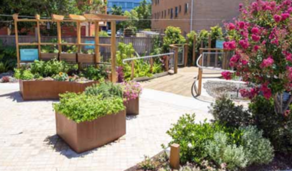There are free standing rectangular wooden planter boxes standing on the light coloured brick paving. On the right hand side of the handrailed entrance is a water fountain.